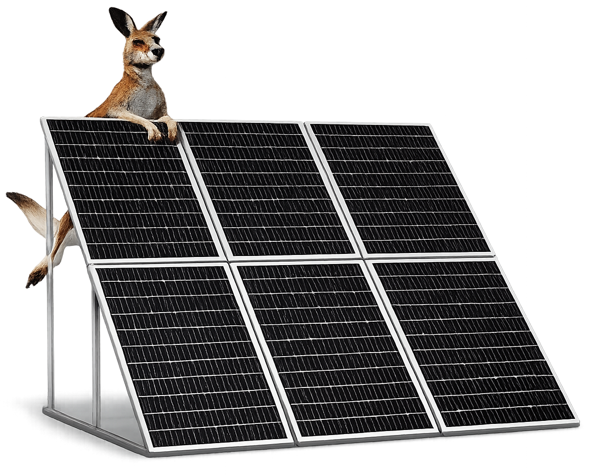 Charlie Sparks solar installer Sydney showcasing solar panels with a kangaroo.